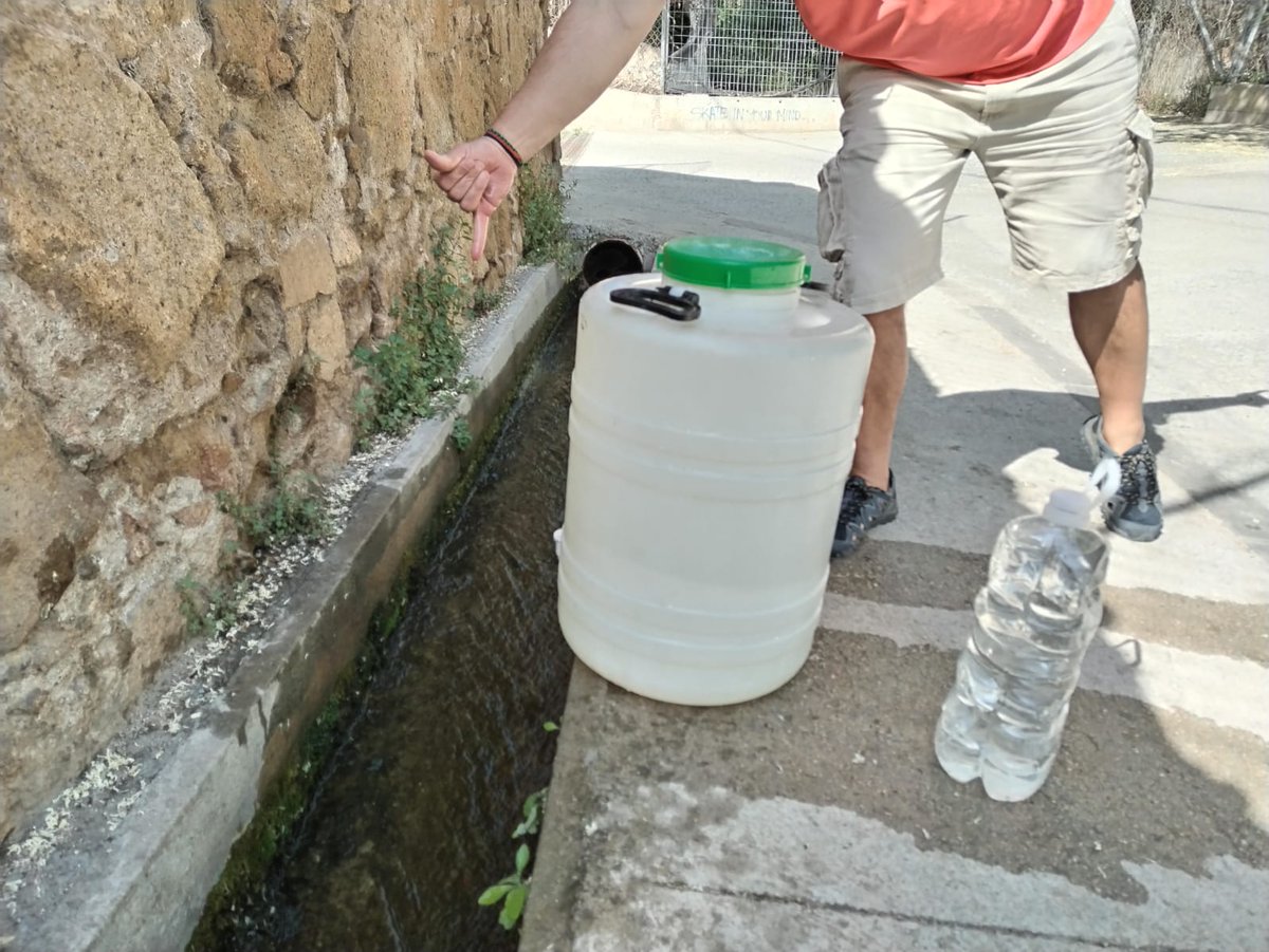 AFA Betúlia tweet media