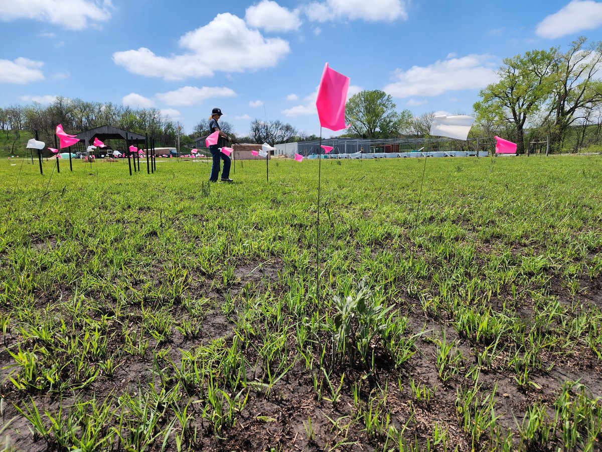 Last, first day of grad school field work at #Konza! It's always incredible and refreshing to see grasses and forbs start to grow after a prescribed burn. We reflagged plots and installed rainout shelters for their fourth and final season. 💗🌱