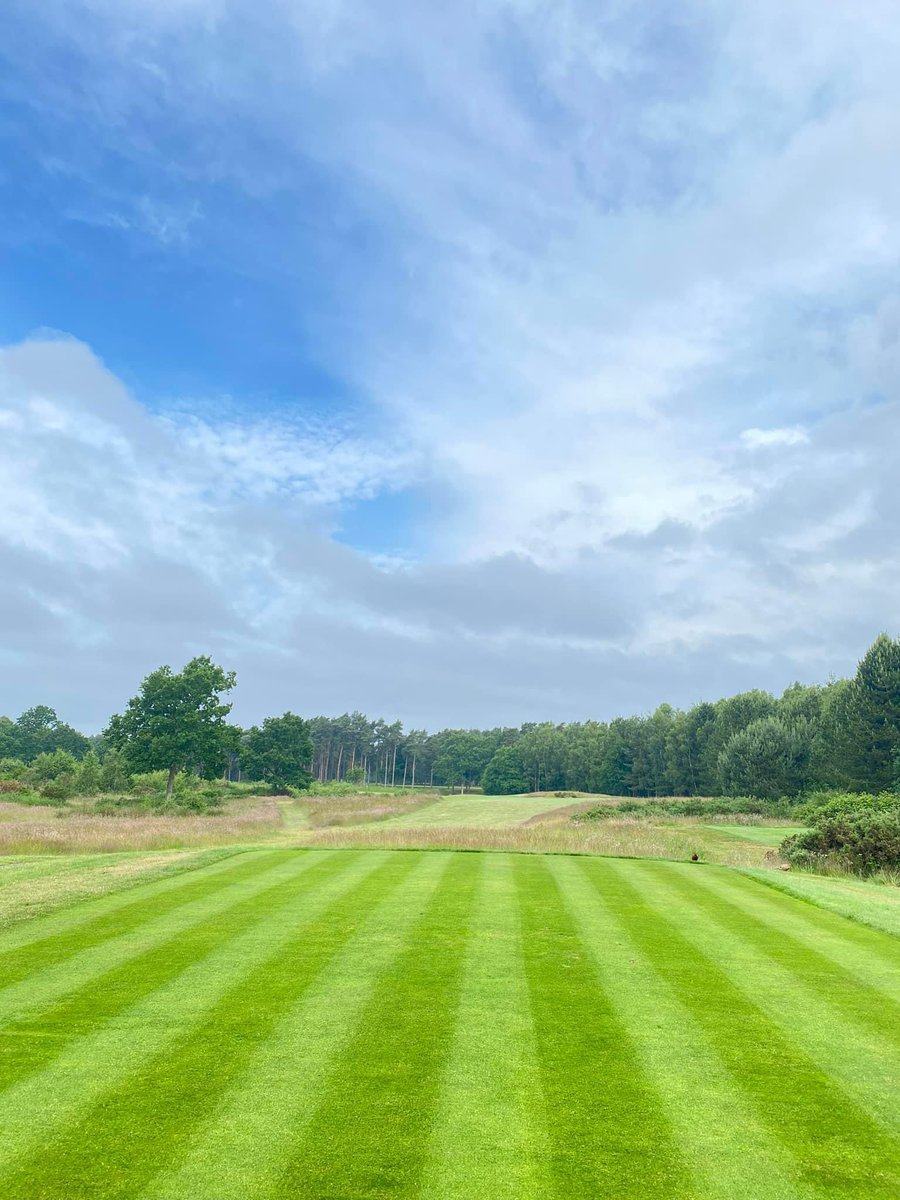 Marketrasengc's tweet photo. Summer golf Market Rasen Golf Club £50 before 2pm, £40 between 2-3pm and £25 after 3pm. Book your round with the golf shop on 01673 842419  #golf #twilightgolf #societygolf #lincolnshiregolf #golf #now #golfnow #golfshake #marketrasen https://t.co/836AfCXdqr