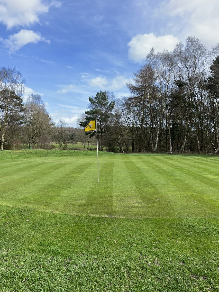 Marketrasengc's tweet photo. Summer golf Market Rasen Golf Club £50 before 2pm, £40 between 2-3pm and £25 after 3pm. Book your round with the golf shop on 01673 842419  #golf #twilightgolf #societygolf #lincolnshiregolf #golf #now #golfnow #golfshake #marketrasen https://t.co/836AfCXdqr