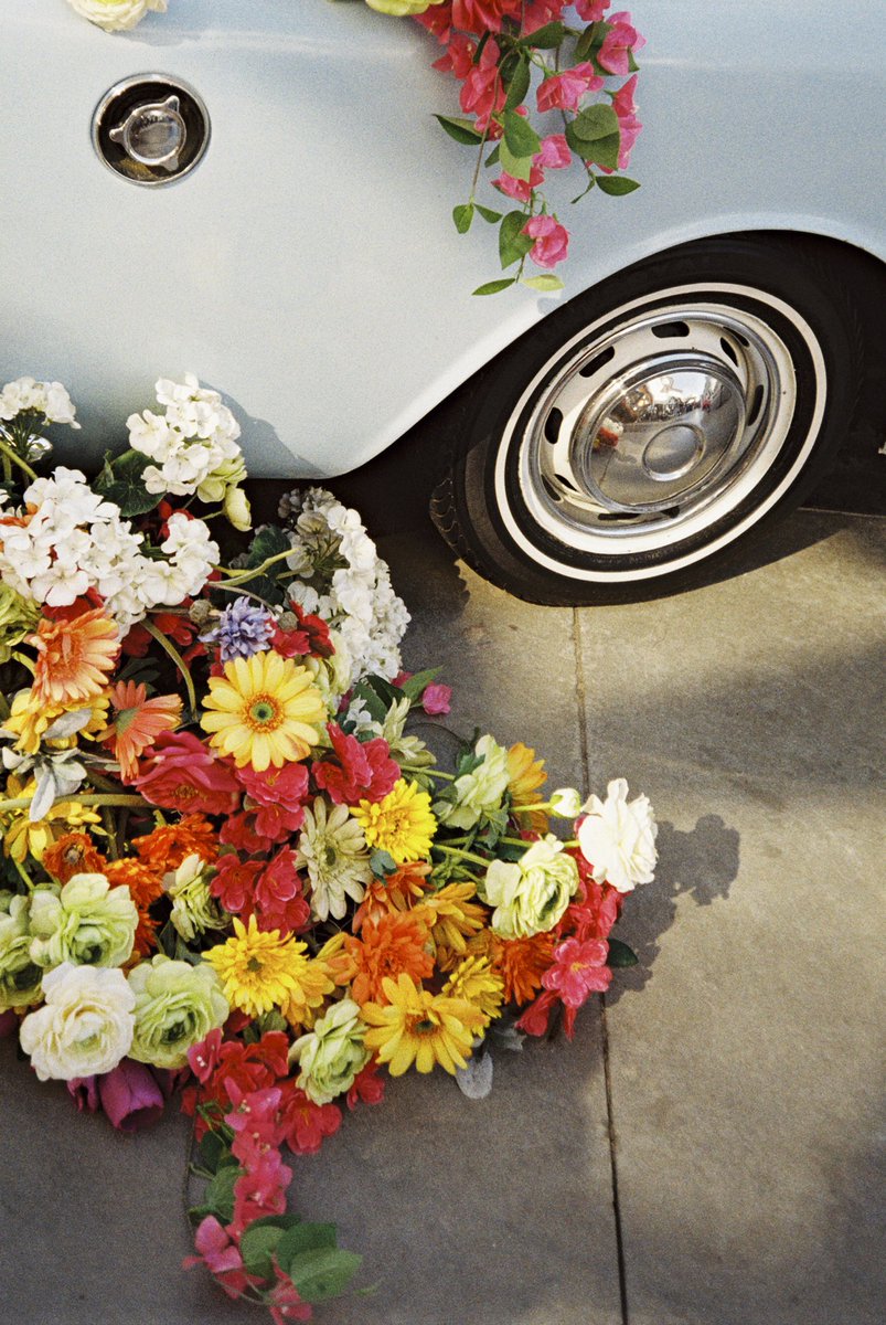 you can’t get more ✨ film photography ✨ than this