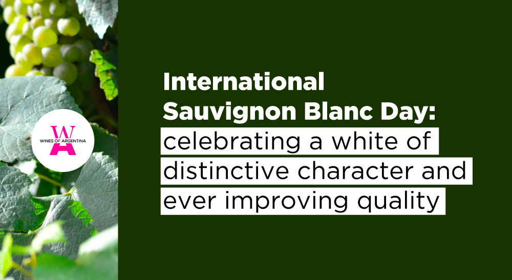winesofarg's tweet photo. 🥂 🇦🇷 It's Sauvignon Blanc’s day and the ones from Argentina stand out from its peers from across the world .

����The move of this variety into cooler regions is resulting in whites that impress with their freshness and their personality.

📲 Read more: https://t.co/T8rDJZDYPg https://t.co/vdBehGdmxk