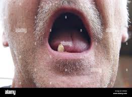 kodak_09's tweet photo. @CleasbyCode @clipsthatgohard when he gets up, this is how the guy will look like this https://t.co/TmBiUe0iTI