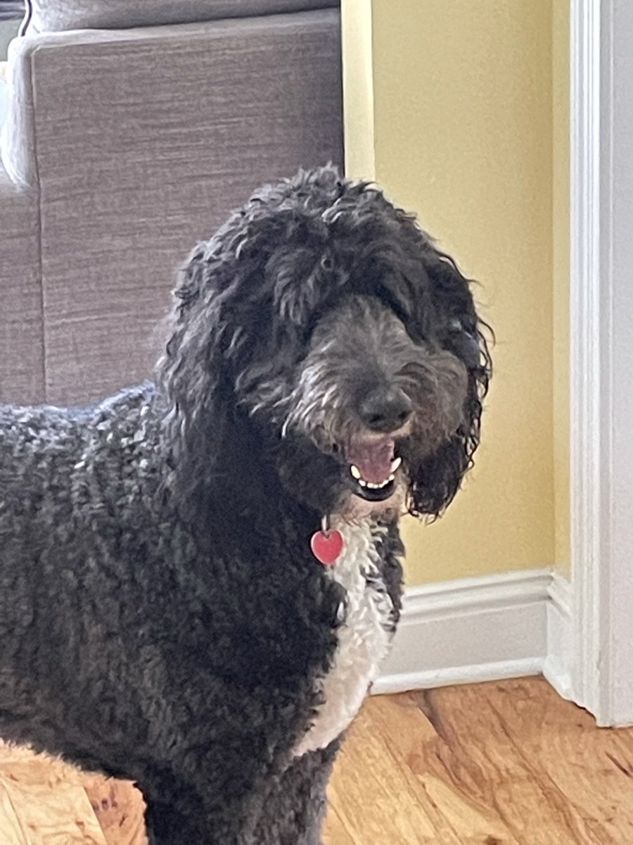 Geoff Polglase tweet media