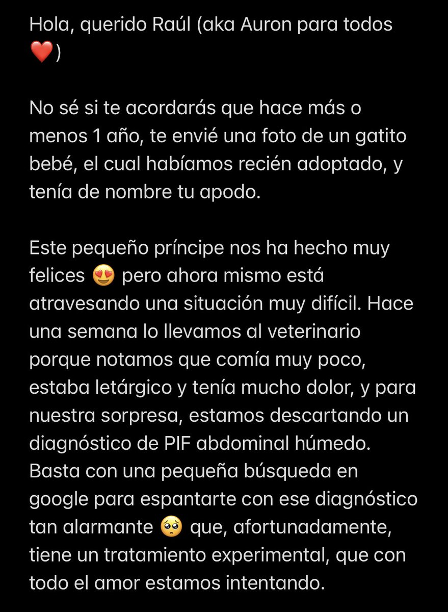 MichiDPotterRBD's tweet photo. Hola, querido Raúl ❤️ @auronplay 

Lamentamos mucho tener que molestarte con estas noticias, pero tu ayuda sería invaluable en estos momentos para el pequeño Auron 🐱

Aquí te dejamos el GoFoundme: https://t.co/dsBCTD0XD9

Gracias a todos los que nos puedan ayudar ❤️ https://t.co/TCP5CQOl0f