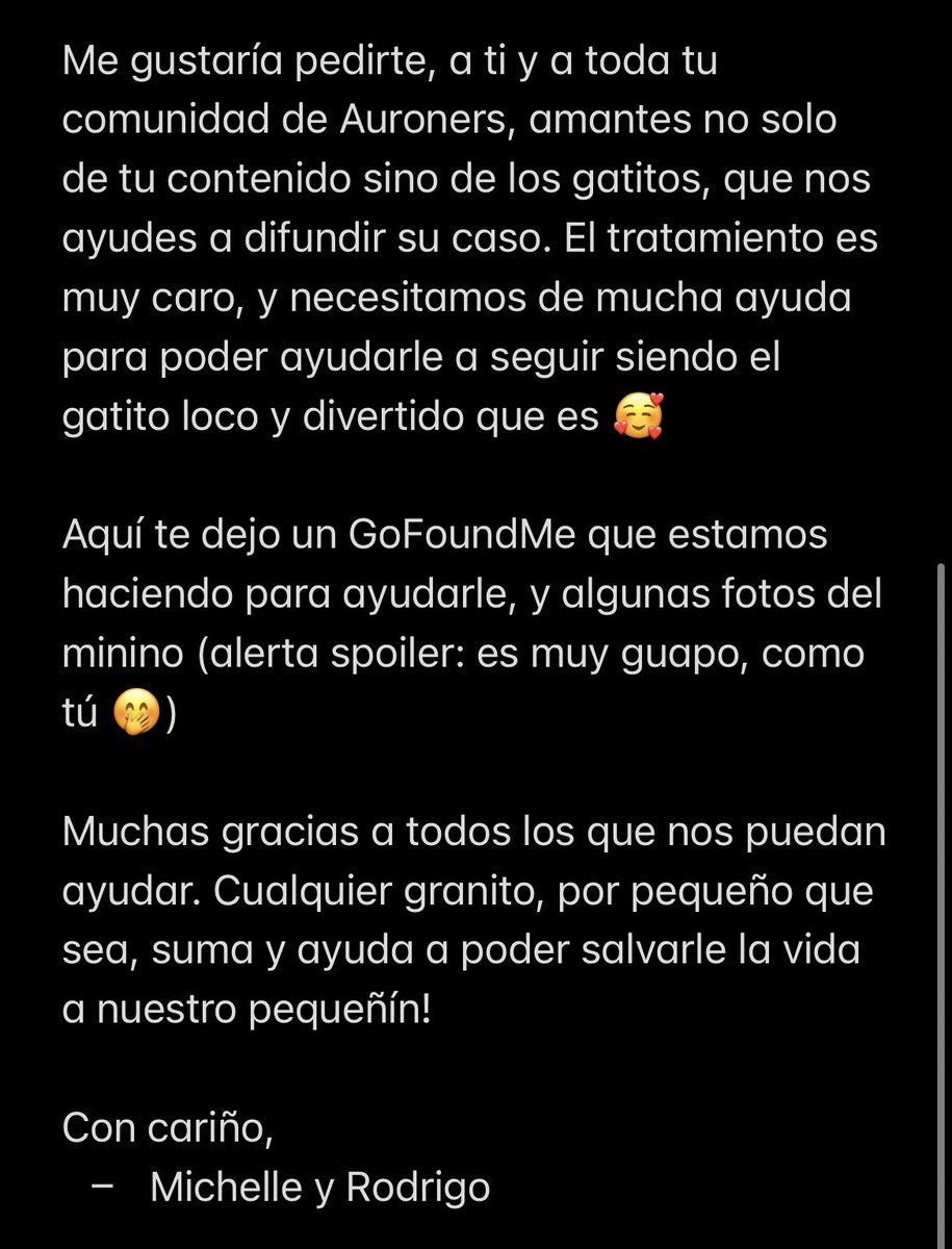 MichiDPotterRBD's tweet photo. Hola, querido Raúl ❤️ @auronplay 

Lamentamos mucho tener que molestarte con estas noticias, pero tu ayuda sería invaluable en estos momentos para el pequeño Auron 🐱

Aquí te dejamos el GoFoundme: https://t.co/dsBCTD0XD9

Gracias a todos los que nos puedan ayudar ❤️ https://t.co/TCP5CQOl0f