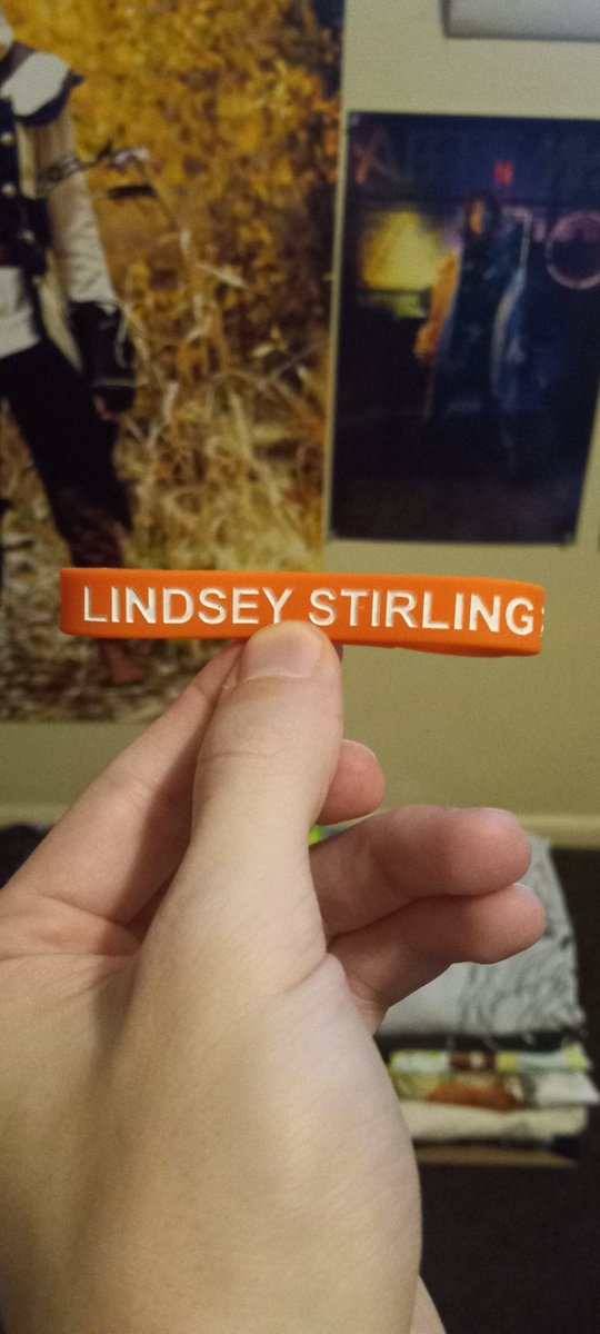 I Got Lindsey Stirling Merch Today I Got It On Lindsey Stirling Site 🙂🎻 @LindseyStirling #StirlingitesForLife