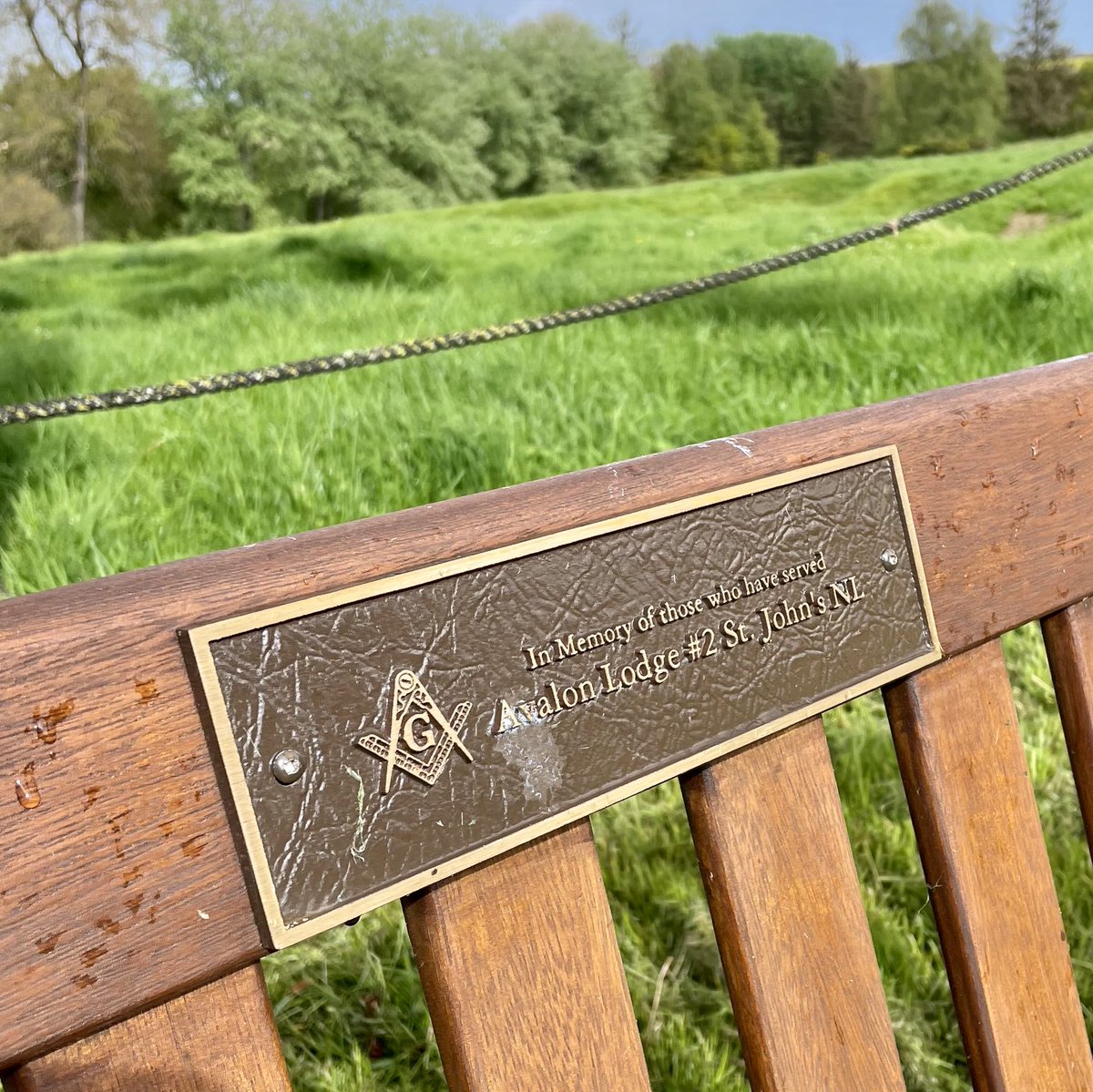 maancafe's tweet image. Slagveld bij de Somme.
Hartverscheurend. Zoveel jonge levens erin geluisd door hetzelfde soort vrijmetselaarstuig als dat nu nog steeds regeert over leven en dood.

#WWI #Somme #1916 #BeaumontHamel