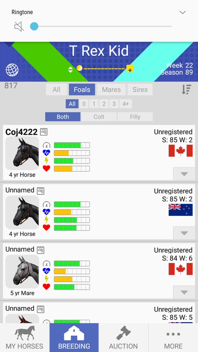 Trex Stables tweet media