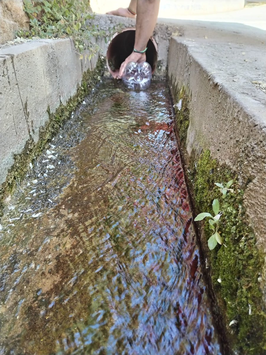 AFA Betúlia tweet media