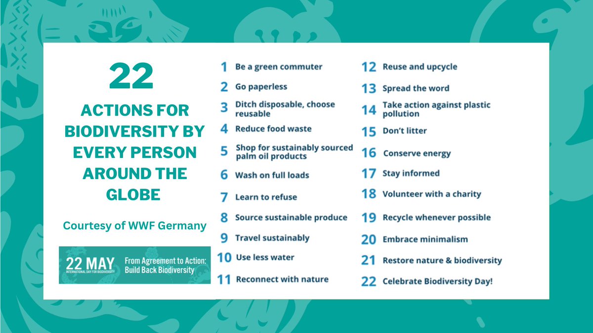 22 actions for #biodiversity! Let's take action to protect our planet's incredible diversity of life. From restoring an area to minimizing waste, every action counts. 🌱🌿

Visit cbd.int/article/idb2023 and learn how you can take action today! #BuildBackBiodiversity