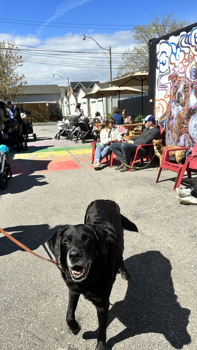 Happy Cinco de Mayo! 🇲🇽

Beer garden is officially open and we are here until 11pm tonight! 

Raiz is popping up with tacos, guacamole and shrimp cocktails until 9pm and we have some piñatas ready for smashing. 

Michelada in the cask and Yo Quiero Mexican Lager on tap!