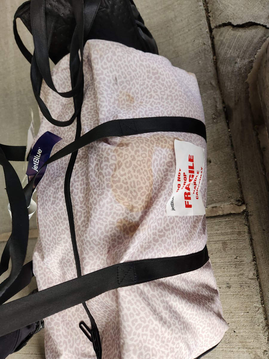 Michelle tweet media