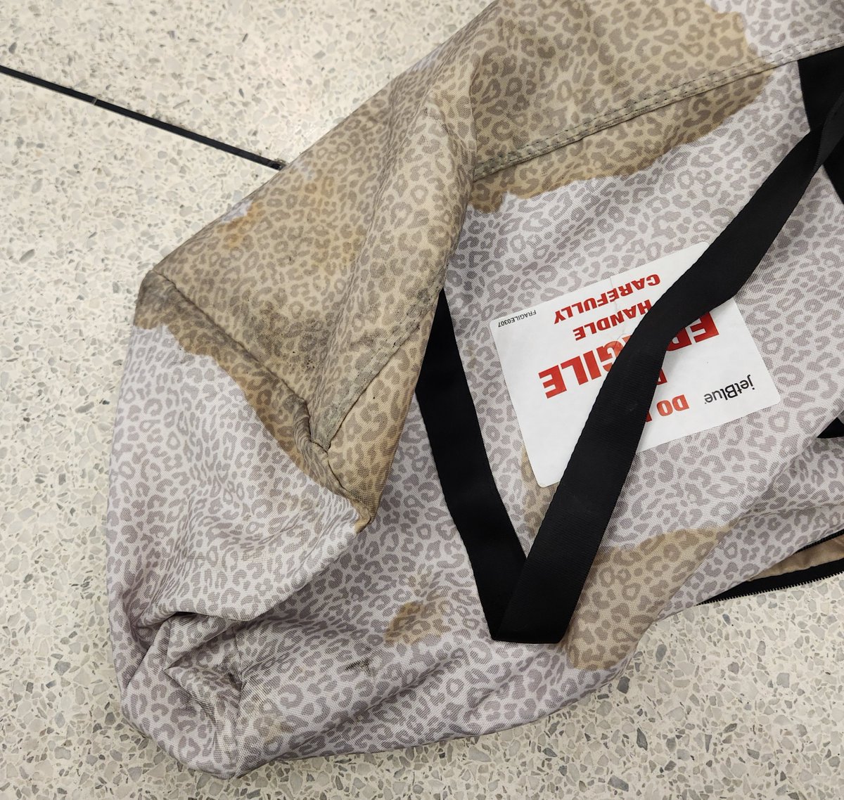 Michelle tweet media