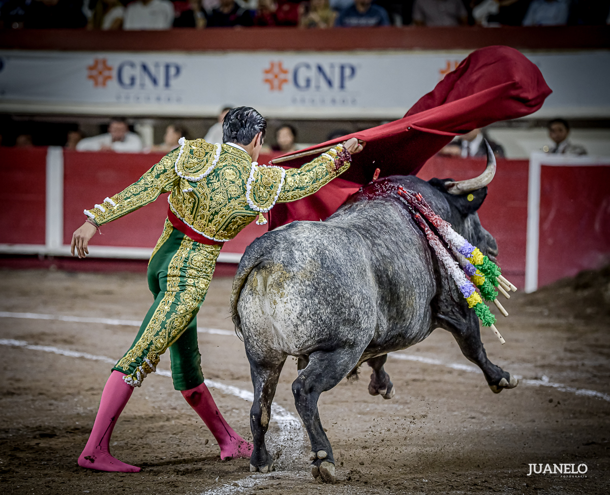 📷 Ags | Ernesto Javier Tapia "Calita"  <a href="/EJCalita/">EJ Calita</a>  dibujo algunos pasajes muy interesantes, por momentos enfrentó a una embestida descompuesta, sin embargo, supo solventar la situación.
Al final una ovación.
📷Video📷 bit.ly/3LZ7Ecn
📷: <a href="/TauroNota/">Dimensión Taurina By Tauro Nota</a> / Juanelo Ld