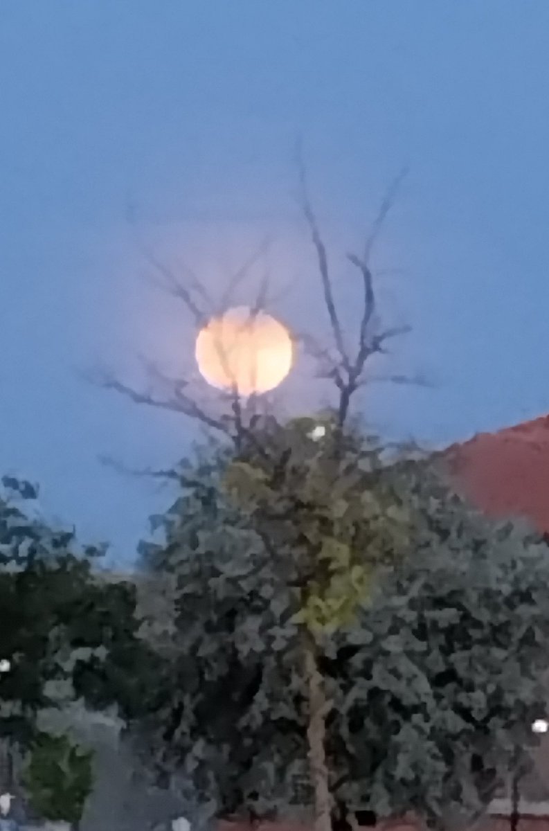 elenaima's tweet image. De vez en cuando necesitamos parar, desconectar de las obligaciones y presiones diarias. Mis momentos de reconexión son las noches de luna llena,  hoy acompañada de lluvia de estrellas. Siente, SAT NAM
#lunallenamayo #gestiónemocional #yoga #kundalini #cuidatumente #mimatucuerpo