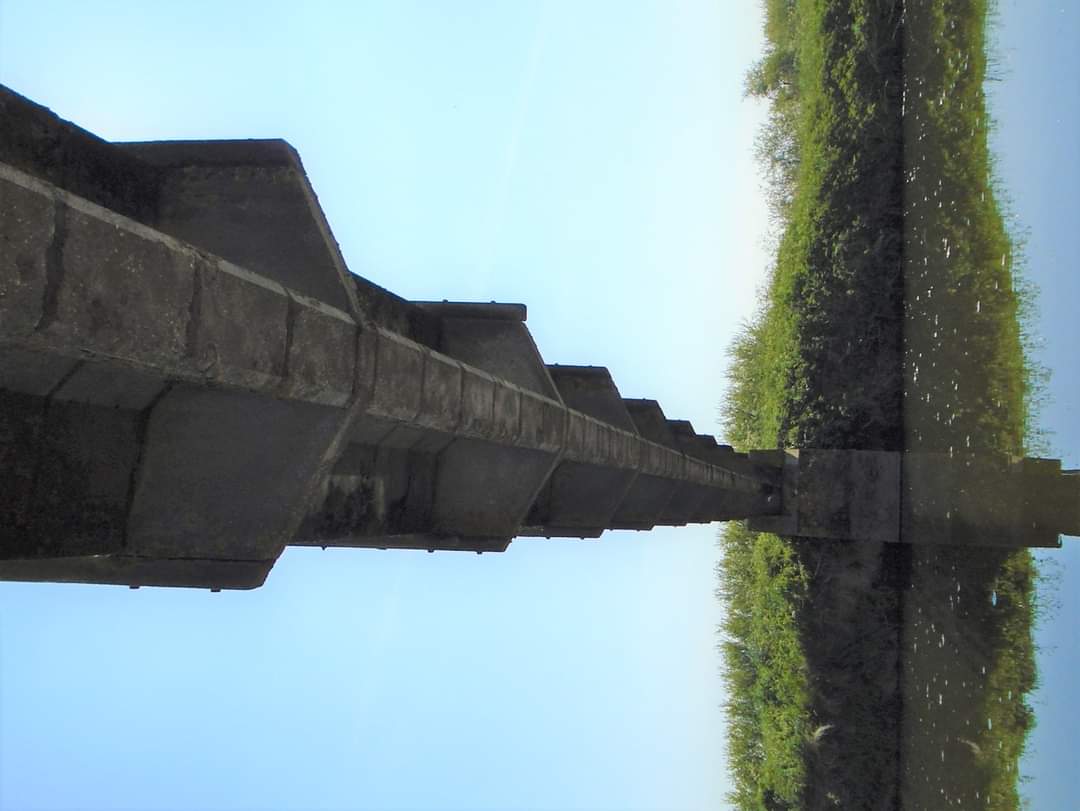 A different perspective. Bridge on the Somerset levels at Long Load. #SomersetMyHappyPlace