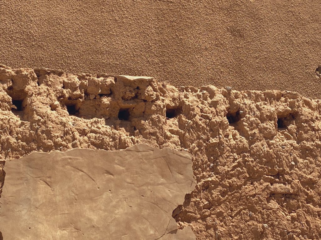 خالد عوّاد الضبيبي tweet media