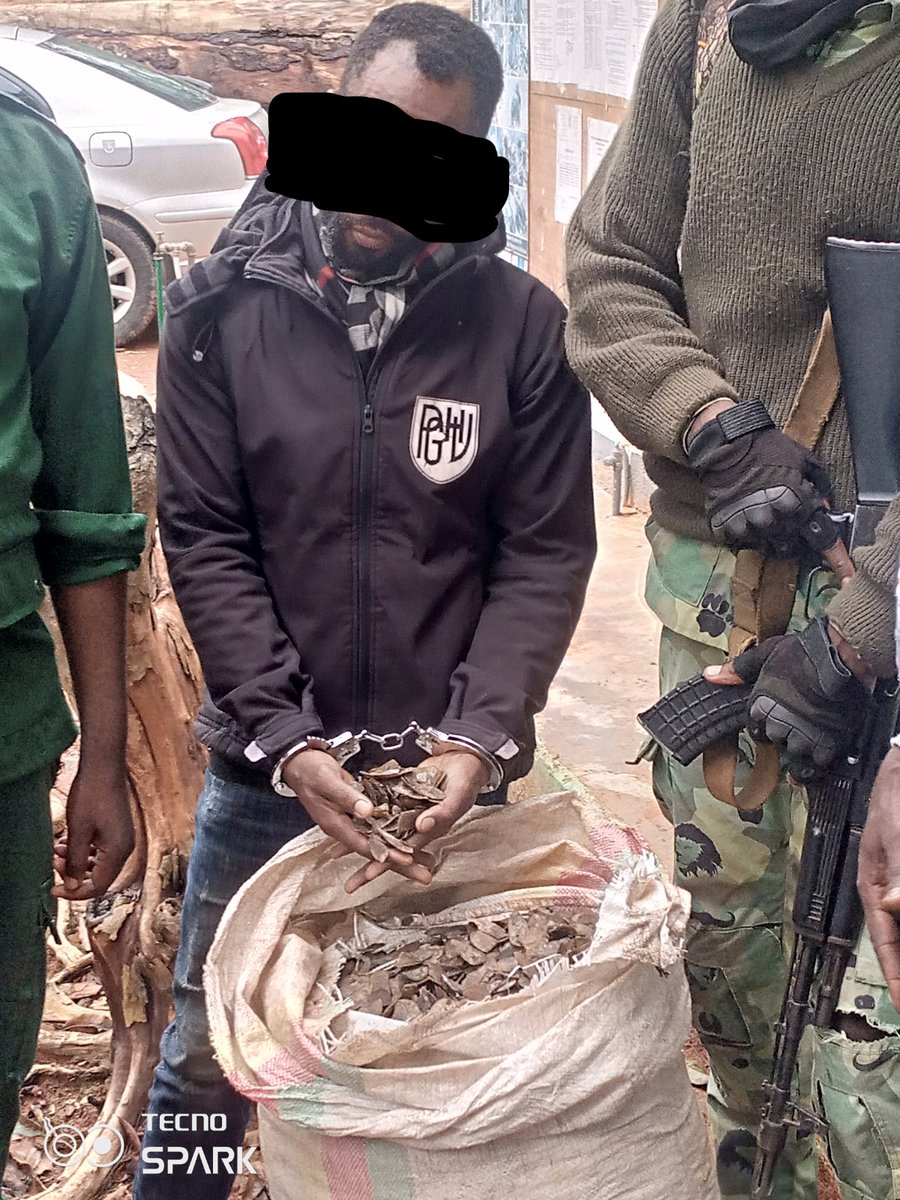 Do you know you have to kill 68 Pangolins to gather 45kg scales? 

cameroonfactfinder.com/suspected-traf…
