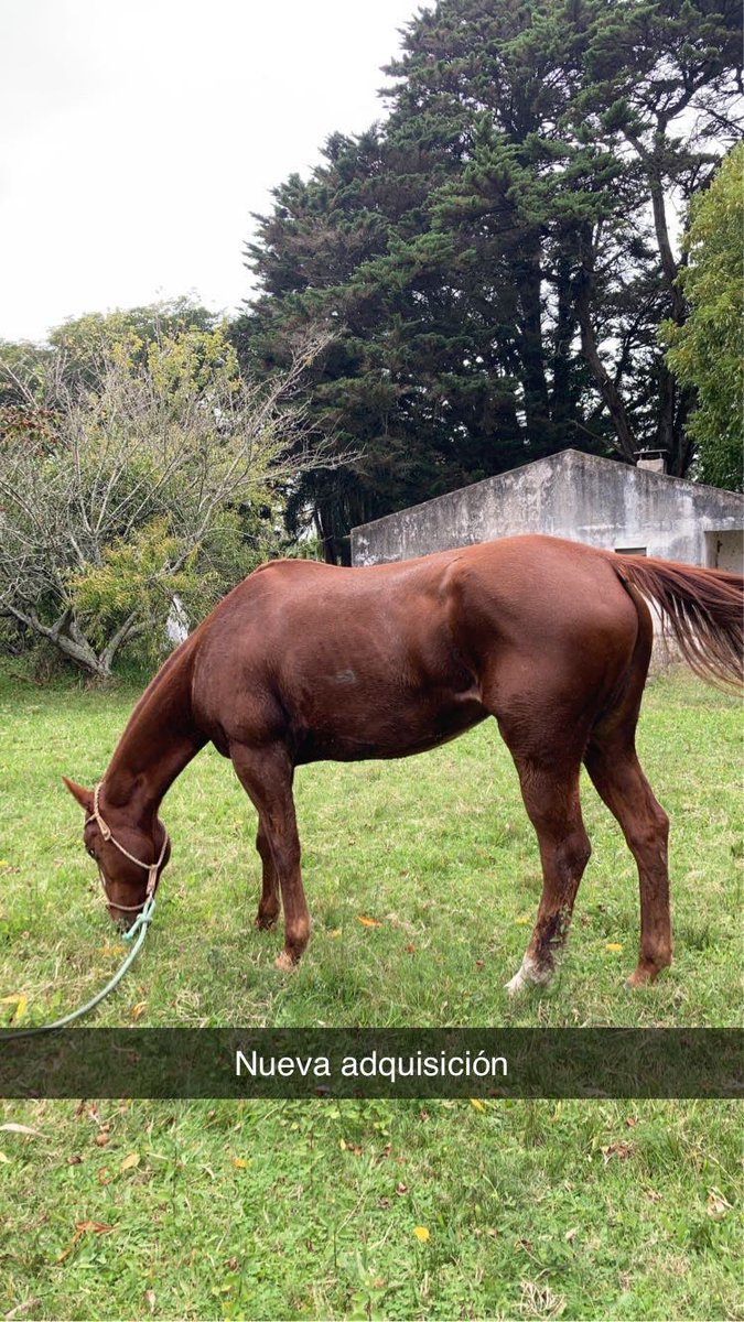 Y aquí está la prueba jajaja