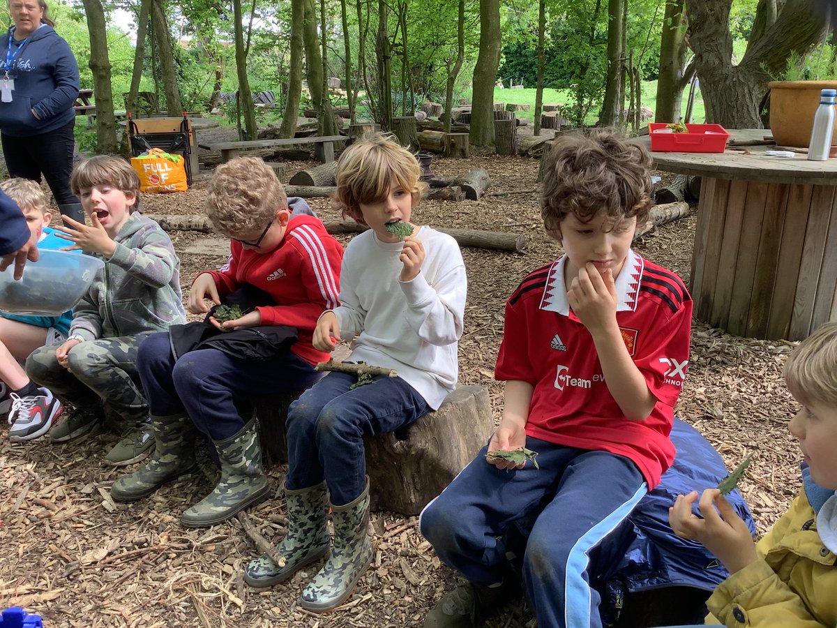 Forest Fridays tweet media