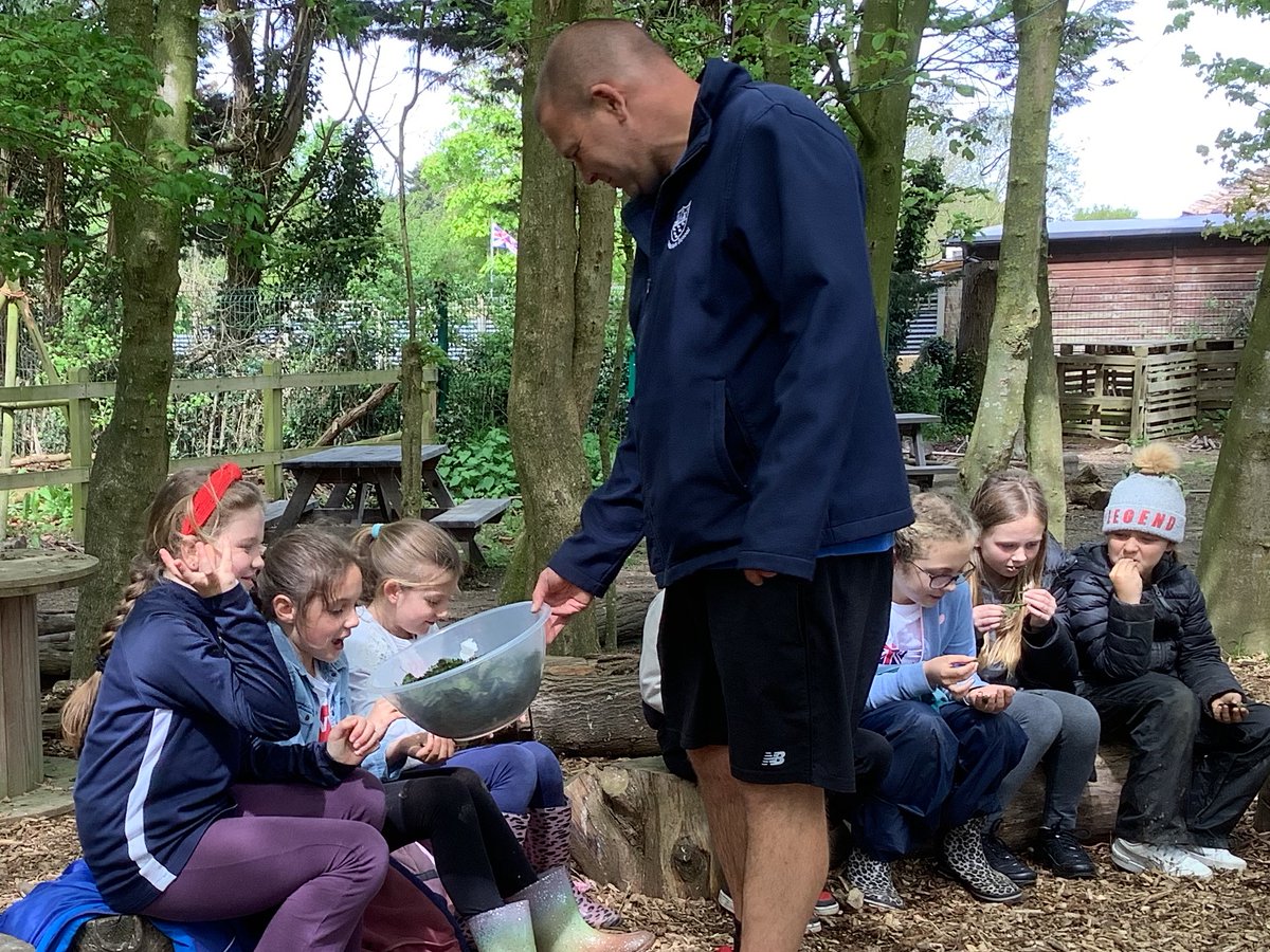 Stinging Nettle Crisps anyone?
We tried something a little different today at Forest Fridays. We made and tried Nettle Crisps and we were pleasantly surprise!
#SidleshamPrimarySchool #outdoorlearning #OutdoorCooking