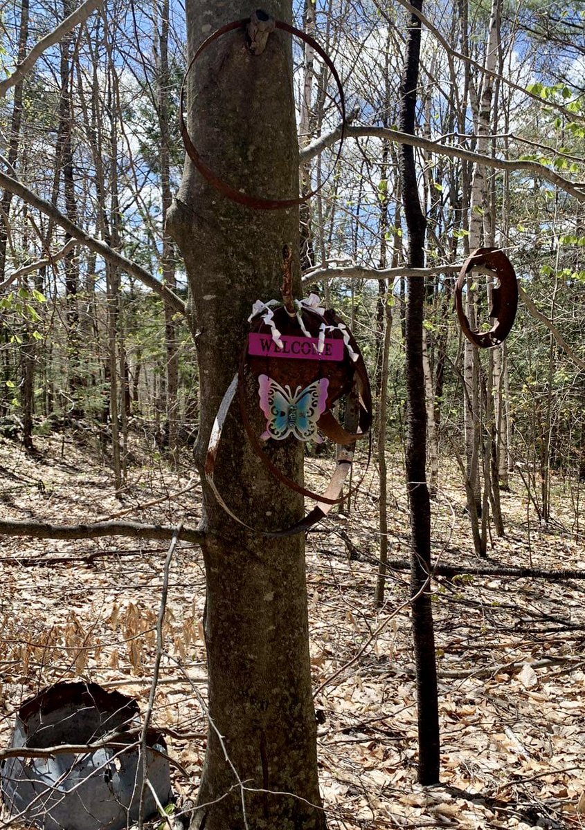 DariAlpi's tweet photo. Maybe I’ve seen Deliverance one too many times but when I see this in the woods in the middle of nowhere it makes me wonder. https://t.co/VnJbCgf8hB