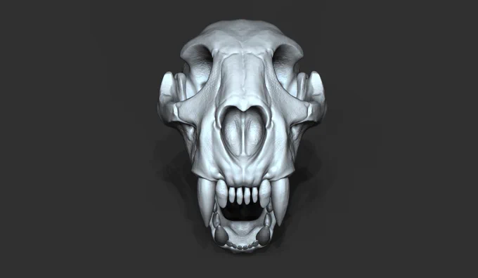 Zbrush study