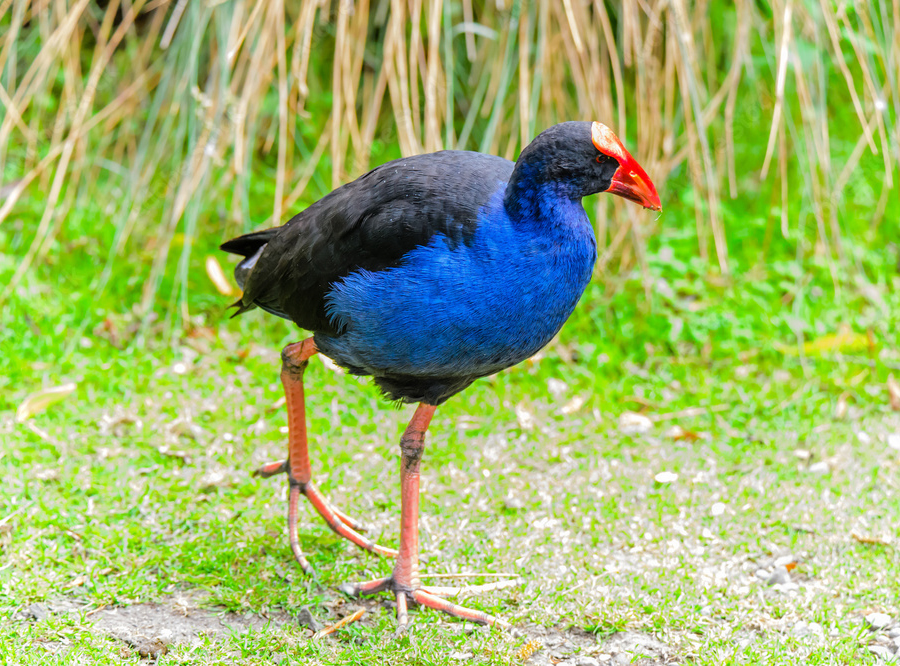 StayAttache's tweet image. Future You - Episode 34: Avoid flying. ‍✈️

👉 To help you “Seek an alternative to - Avoid Flying - recklessly,” here’s a simple 2-step process: lnkd.in/eyRuZtGn

#StayTraveling #StayEfficient #StayAttache

#sustainability #travel #corporatehousing #futureyou