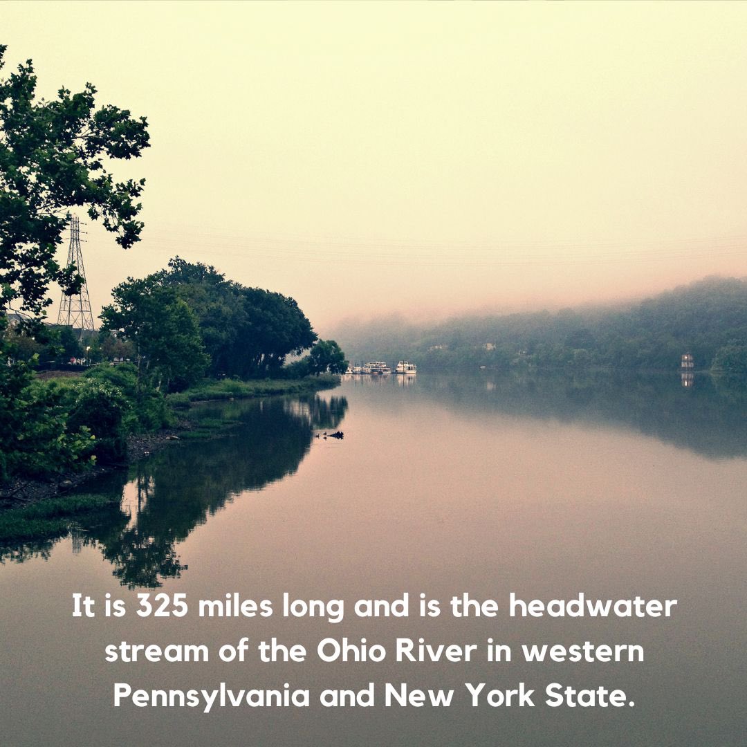 PennFuture's tweet photo. Today we are learning about the Allegheny River.
The river starts in north central PA (Potter County) and flows into western New York and then re-enters northwestern PA. The Allegheny contributes 60 percent of the Ohio River flow at Pittsburgh, Pennsylvania. #pacleanwaterweek https://t.co/KtMgRb2zx6
