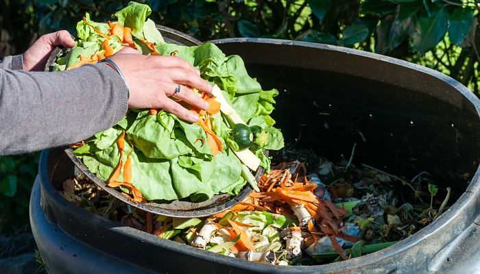 CHOCO_TACHIRA's tweet image. Super Abono organico.

Ceniza 1 kg
Cal agrícola 1 kg
Piel de frutas y vegetales 4 kg 
Estiercol 🐄🐷🐔
Borra café 2 kg
Orines 1/2 lts
Residuos de cerveza 2 lts
8 kilos tierra normal
Humus 1 lts
Cascaras huevo

Mezclar en pote o bolsa plástico, tapar bien composta   x 4 meses🚀