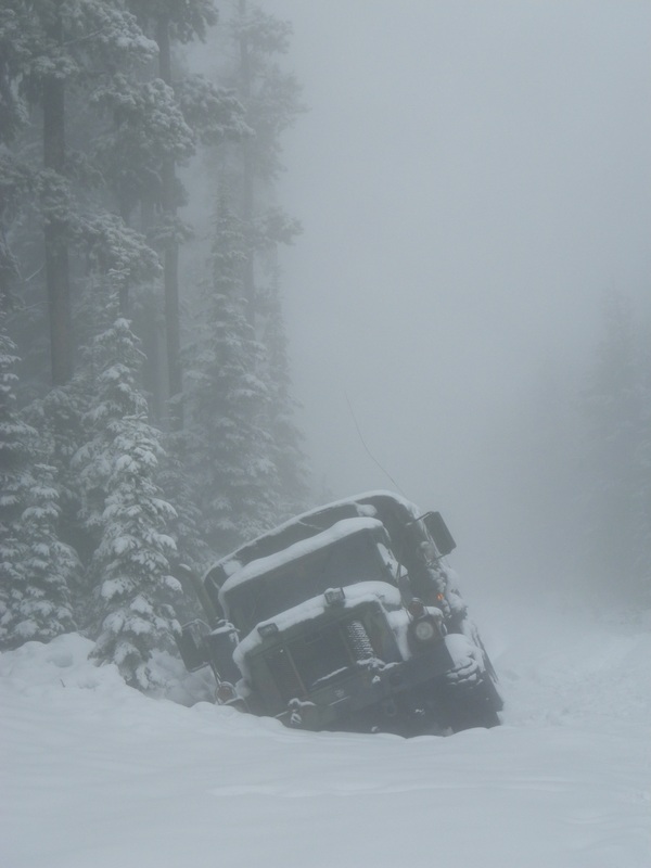 Kendra Kaiser tweet media