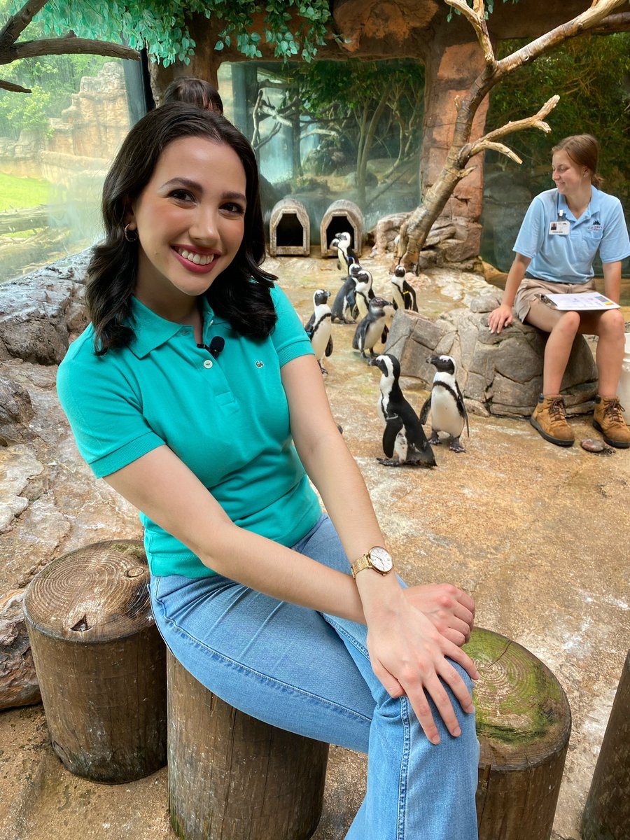 Sometimes work just doesn’t feel like work 🦒🐧