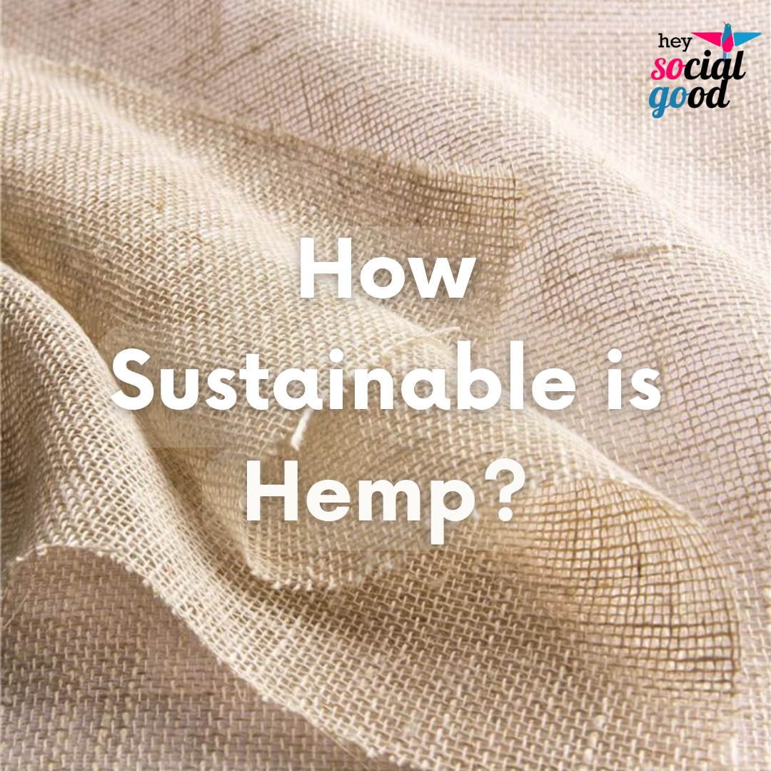 Hey Social Good tweet media