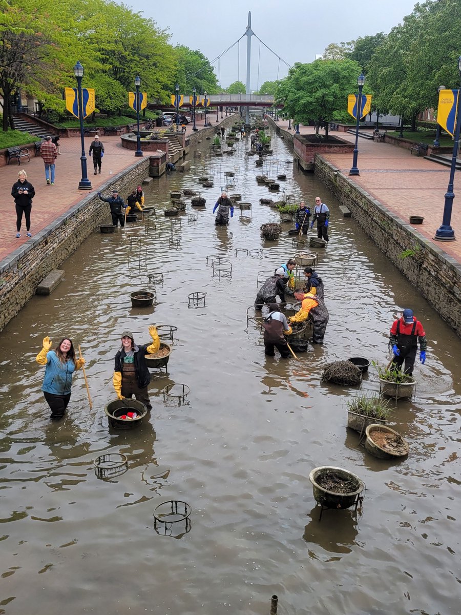 Tuajuanda Jordan tweet media