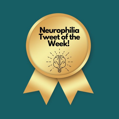 NeurophiliaPod's tweet photo. #Neurotwitter: This is best #Neurophilia tweet we saw this week! Congratulations, @DrTarolliNeuro!
If you want to win the next #NTOW, tag us in your 🧠-loving post.
#Neurology #neuroscience https://t.co/3OGc2FlgCq