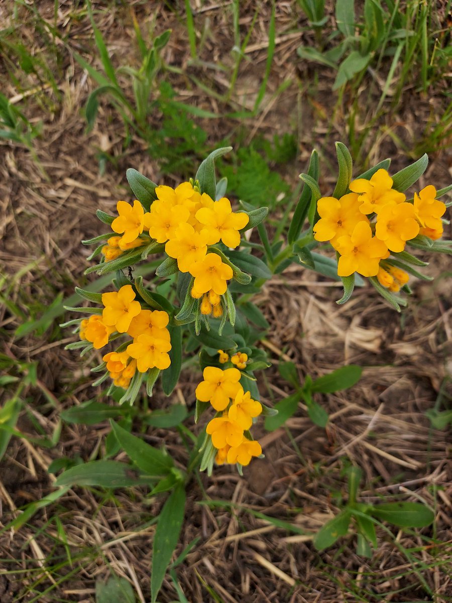 Elizabeth Bach tweet media