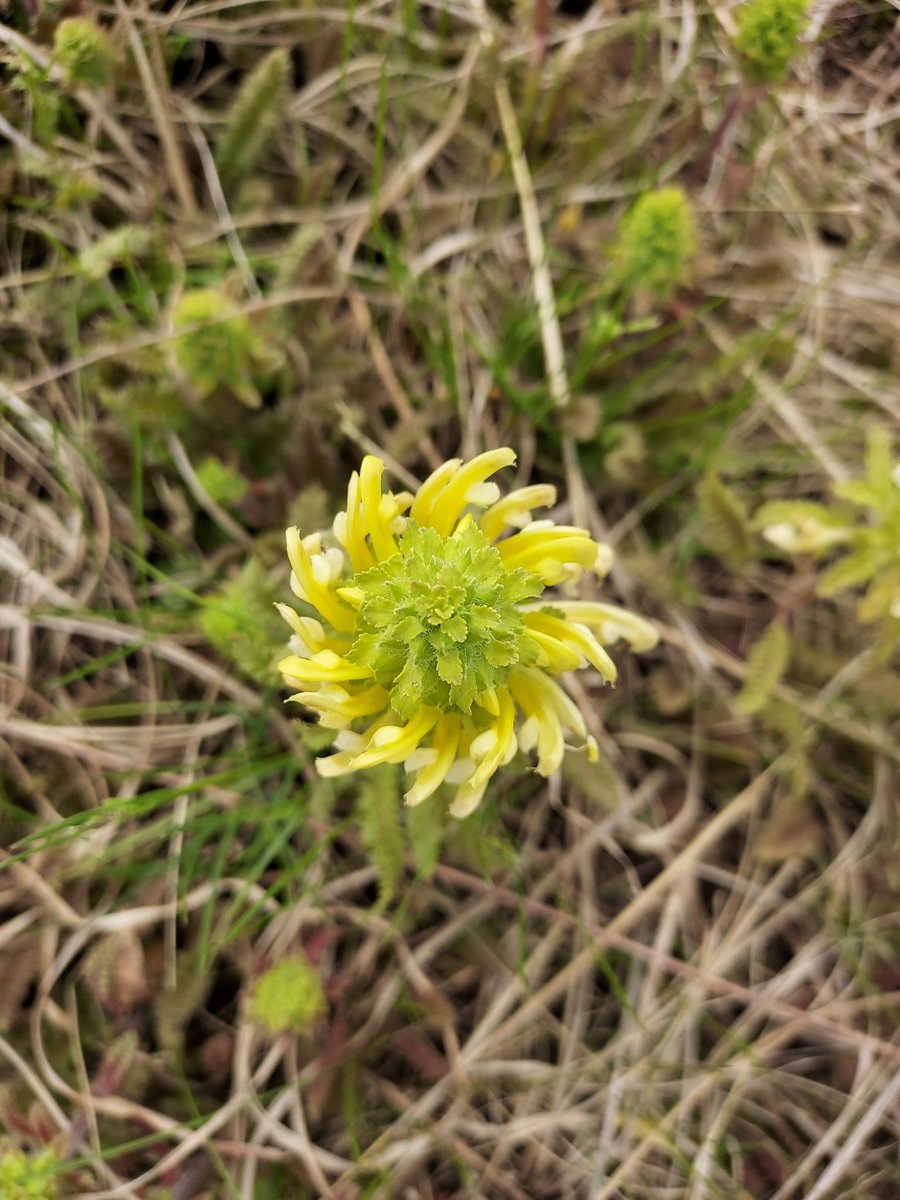 Elizabeth Bach tweet media