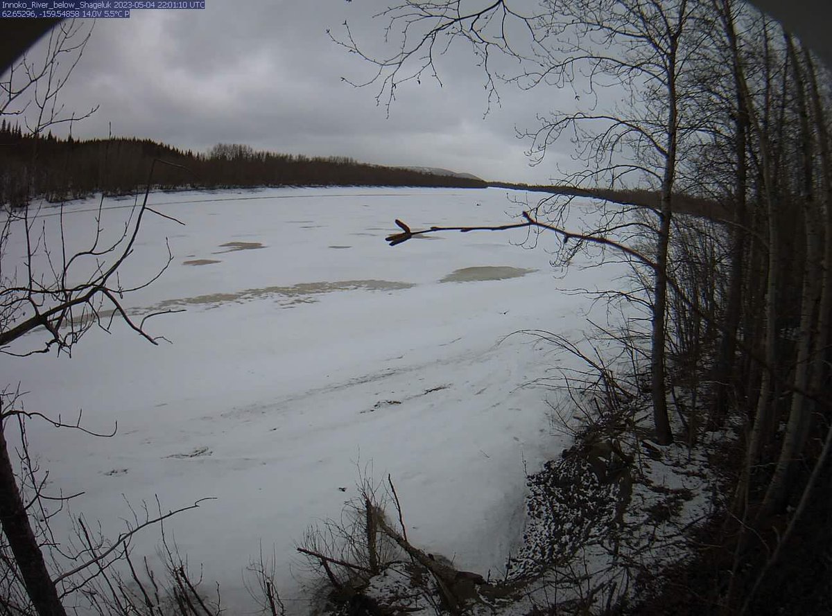 Fresh Eyes on Ice tweet media