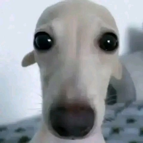 ItsMizter's tweet photo. @AdrielGang @gabybuchon @Kizhiwi @MaguitoFPS https://t.co/HDpCn6mycO