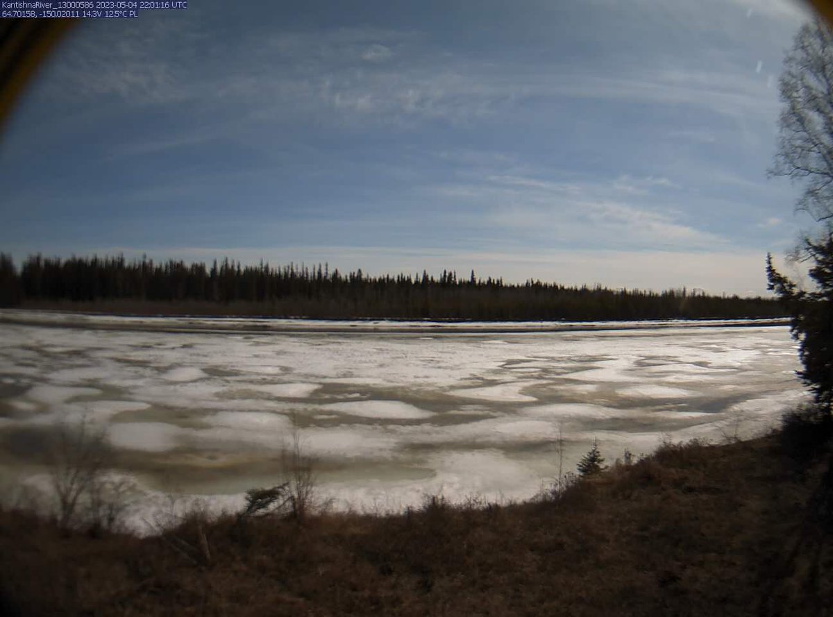 Fresh Eyes on Ice tweet media