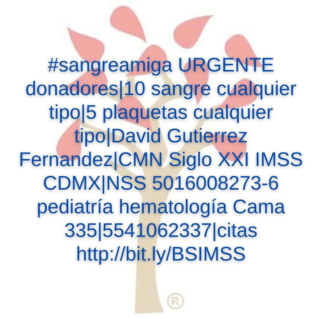 sangreamiga's tweet photo. #sangreamiga URGENTE donadores|10 sangre cualquier tipo|5 plaquetas cualquier tipo|David Gutierrez Fernandez|CMN Siglo XXI IMSS CDMX|NSS 5016008273-6 pediatría hematología Cama 335|5541062337|citas https://t.co/YQd52eWMHW https://t.co/E2Q5E53PLh