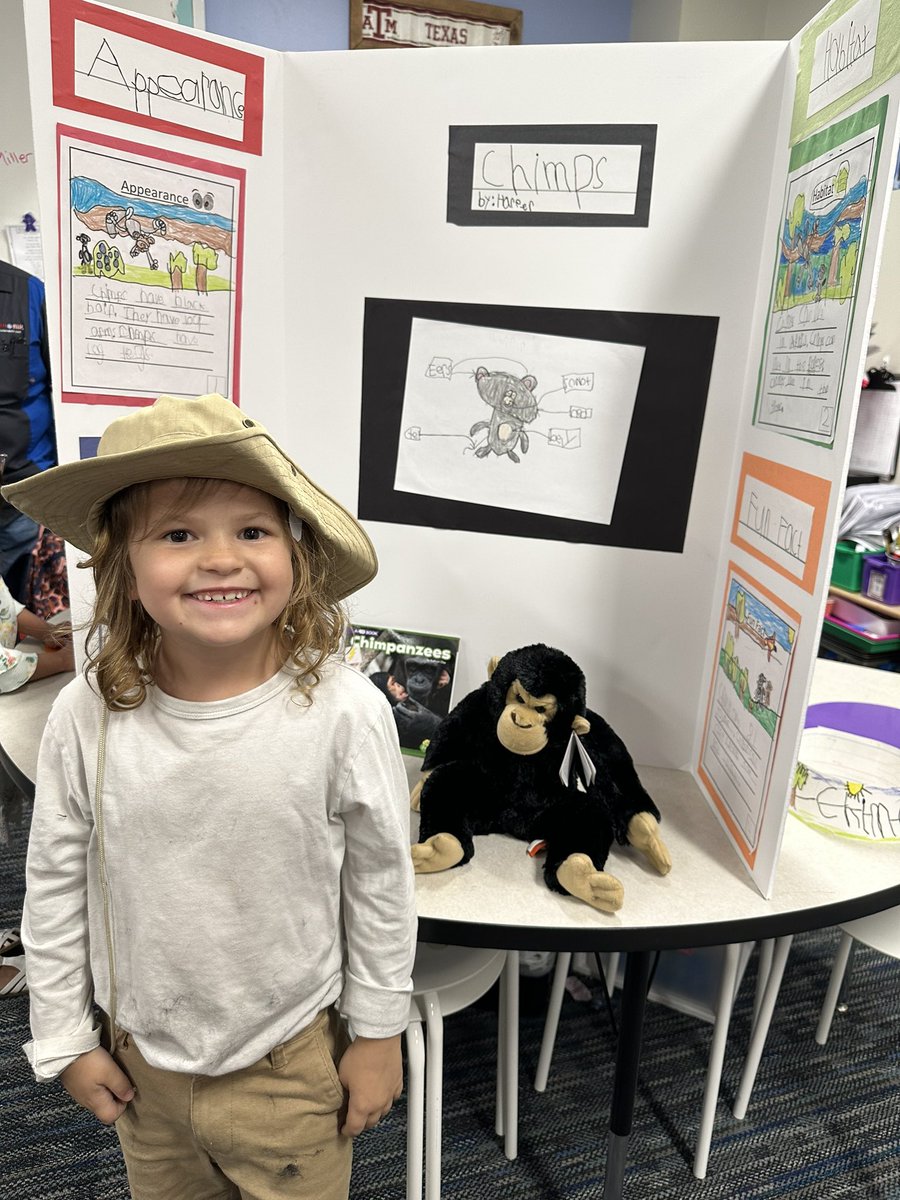 AnneMDavis_ tweet media