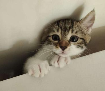 ǝɹpuɐxǝl∀ 🙃 tweet media