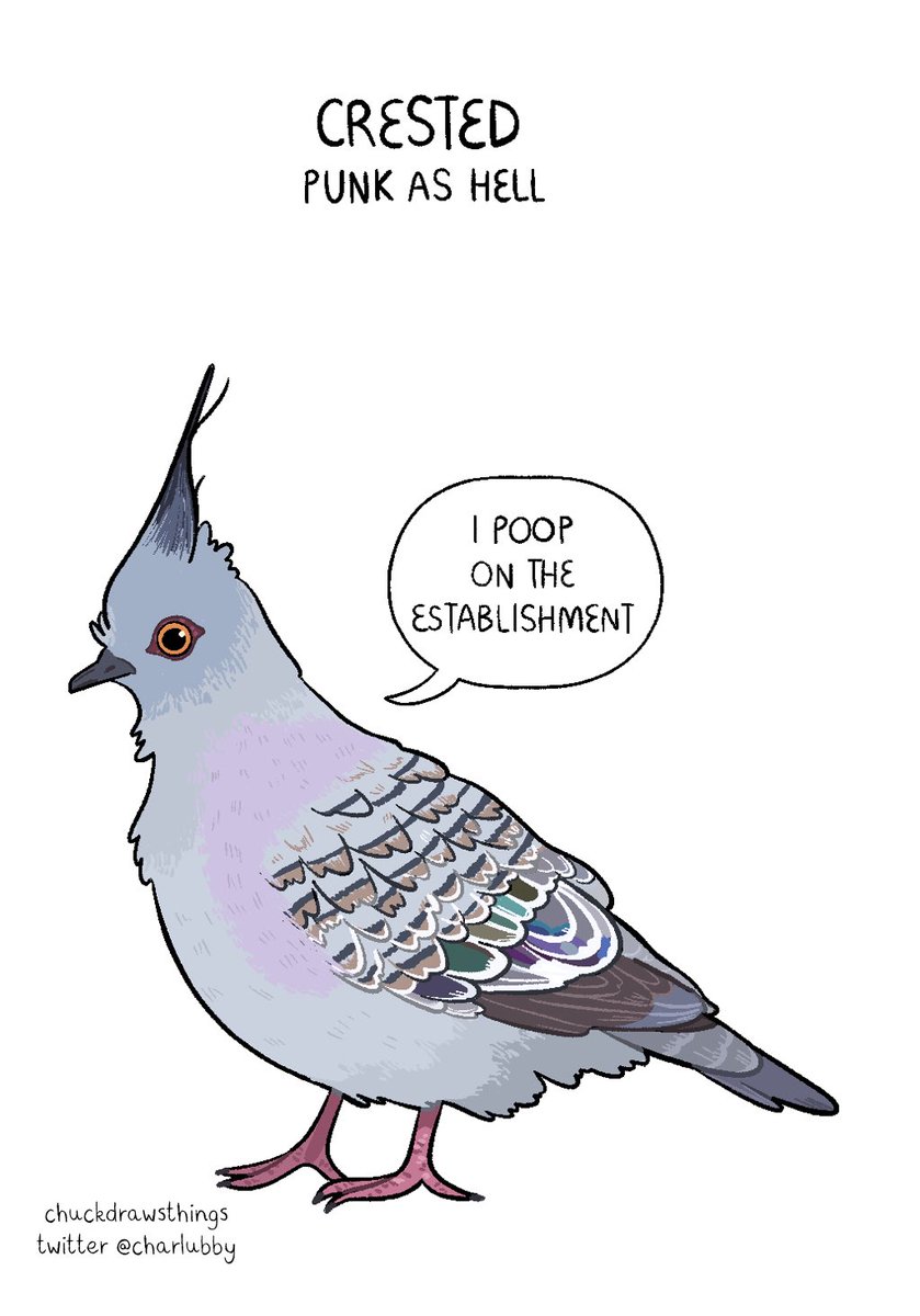 (holds up pigeons) i just think they're neat