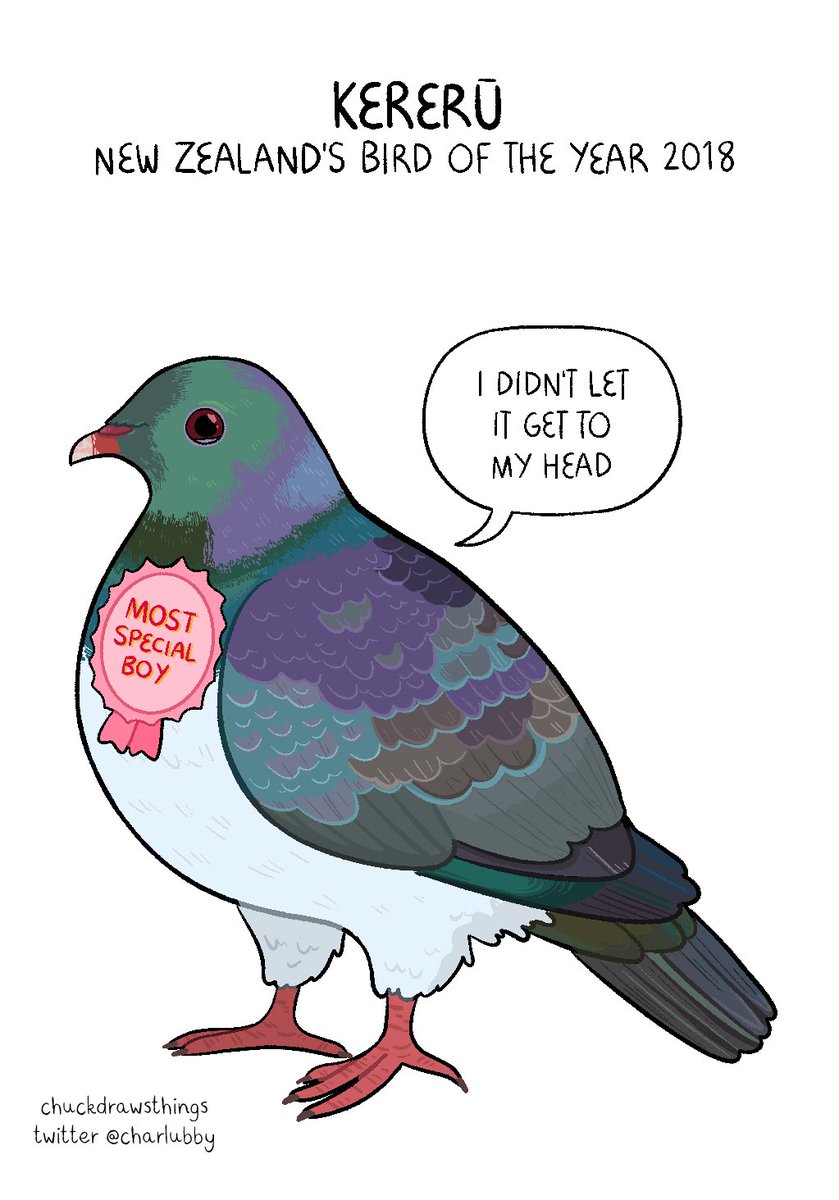 (holds up pigeons) i just think they're neat