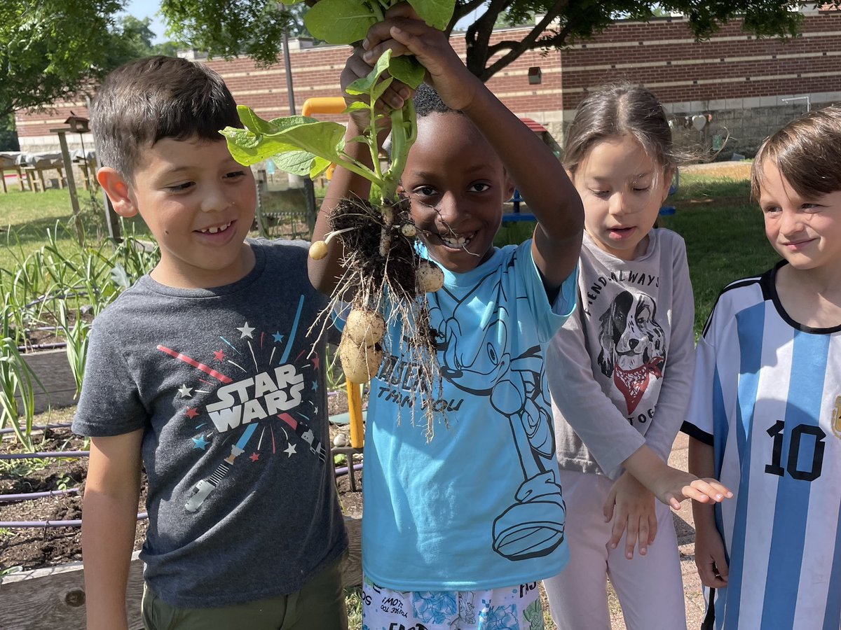 Martha Brown tweet media