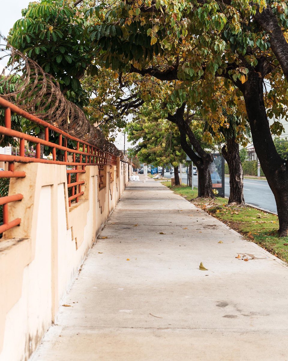 Disfrutando de lo que estamos haciendo junto a tanta gente maravillosa y trabajadora que comparte este gran amor que siento por nuestra bella ciudad, que es la casa de todos. Vamos a cuidarla. Se les quiere.