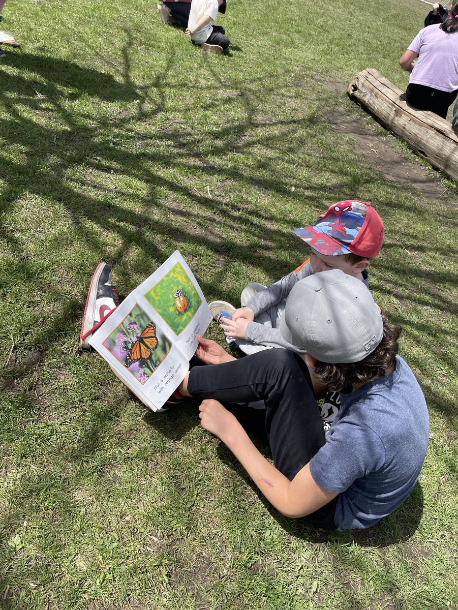 MrsBeg24's tweet photo. The 🦊 class had a great time with Mrs. Peddle’s grade 4’s for outdoor reading buddies. Nothing better than sunshine and a good book on a Friday! #ocsbBeCommunity #ocsbKindergarten @StPhilipOCSB https://t.co/pUtvuHhmOf