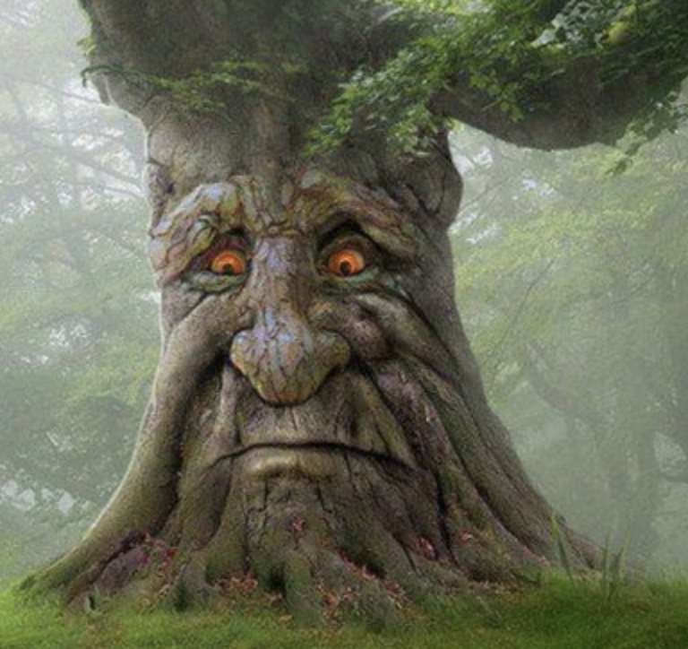 wen verification <a href="/opensea/">OpenSea</a>